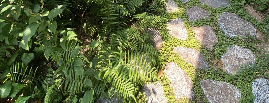 幡豆石を用いたアプローチ